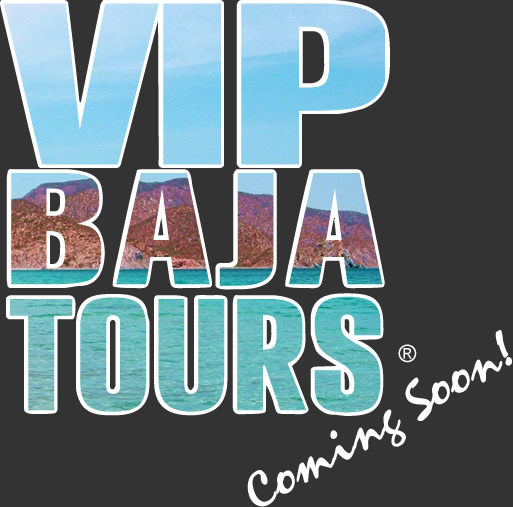 Welcome to VIP Baja Tours - Providing the Funnest and most VIP Tours of Baja California Mexico